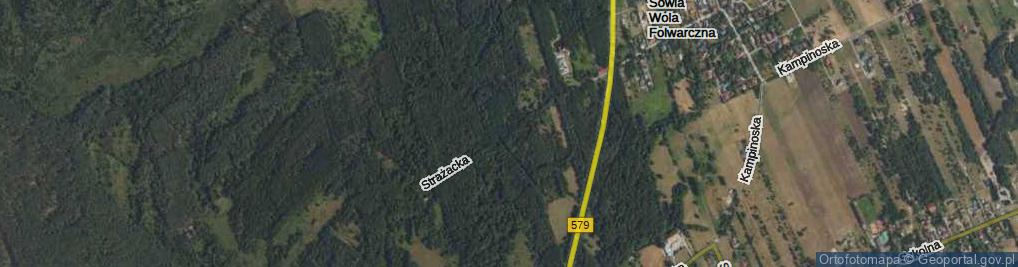 Zdjęcie satelitarne Strażacka ul.